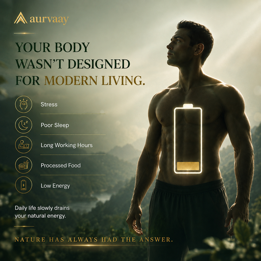 Aurvaay Himalayan Pure Shilajit Resin