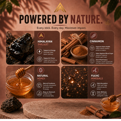 Aurvaay Shilajit Honey Cinnamon Sticks