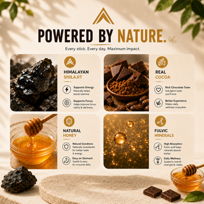 Aurvaay Shilajit Honey Chocolate Sticks