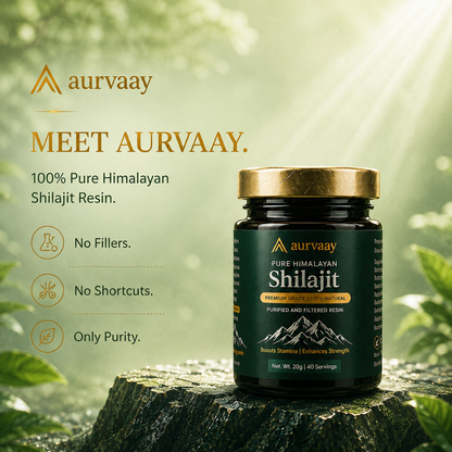 Aurvaay Himalayan Pure Shilajit Resin