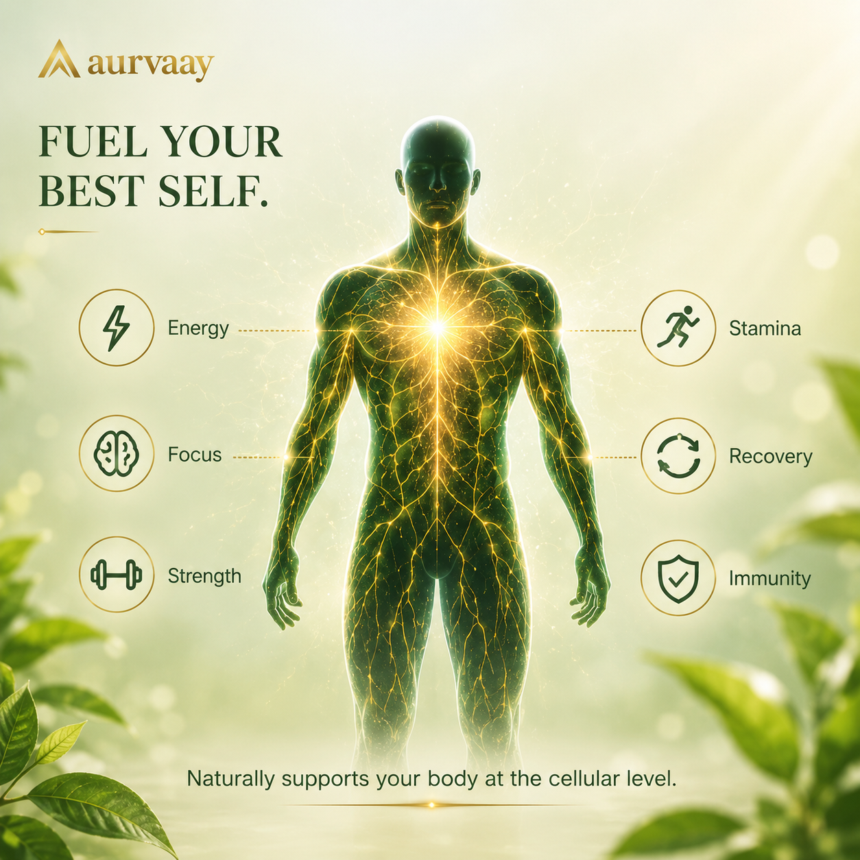 Aurvaay Himalayan Pure Shilajit Resin