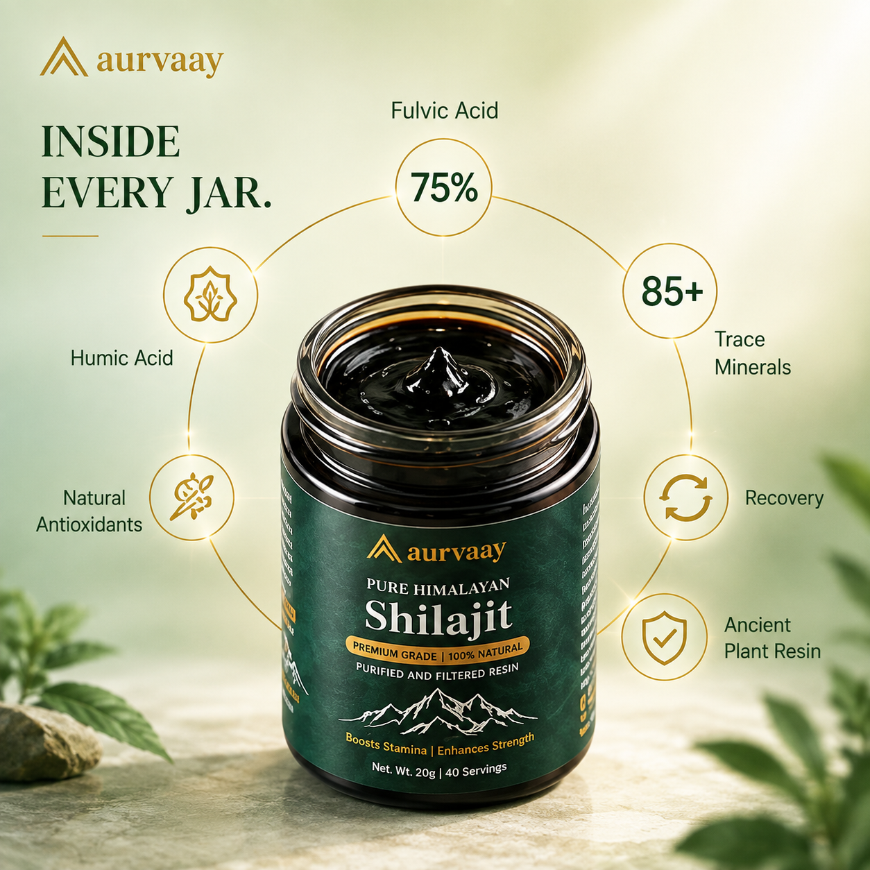 Aurvaay Himalayan Pure Shilajit Resin