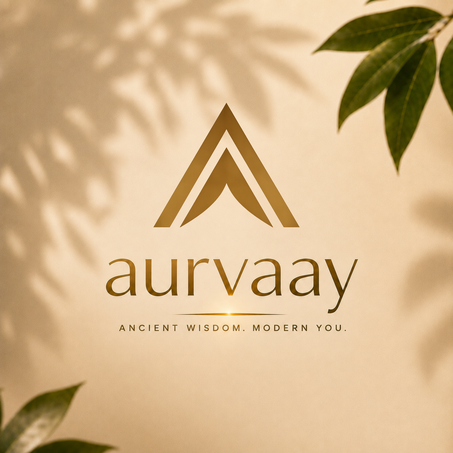 Aurvaay Shilajit Honey Chocolate Sticks