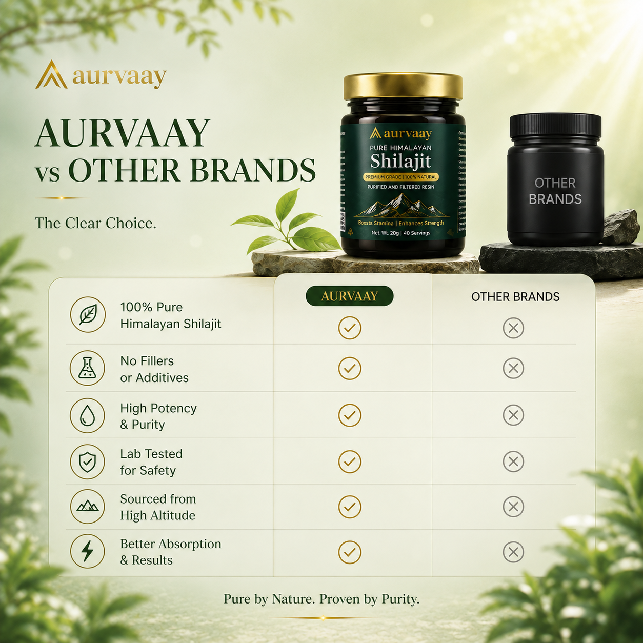 Aurvaay Himalayan Pure Shilajit Resin