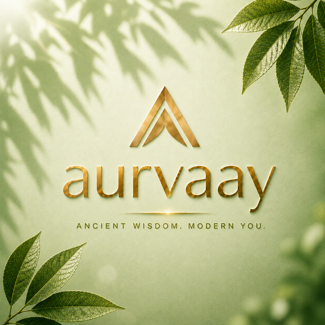 Aurvaay Himalayan Pure Shilajit Resin